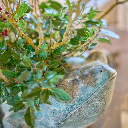 Βίλα Podere San Bernardino *