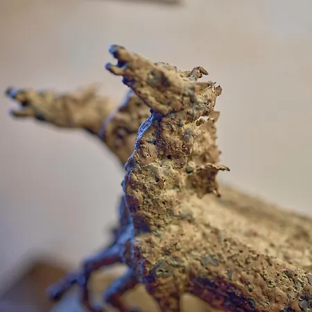 Podere San Bernardino *